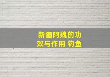 新疆阿魏的功效与作用 钓鱼